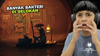 NEKAT MASUK KE DALAM SARANG BAKTERI