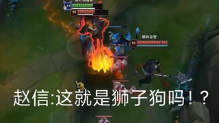 赵信:这就是狮子狗吗！?
