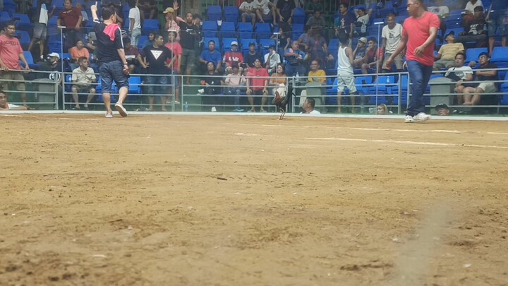 Coliseo de Leganes 1