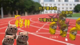 当广播员放错了跑操音乐，10秒后起飞！level！