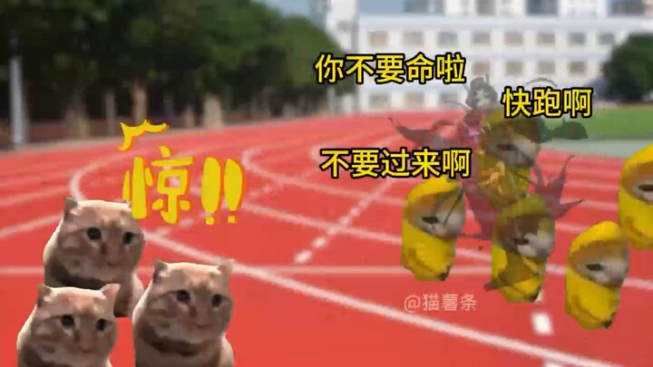 当广播员放错了跑操音乐，10秒后起飞！level！