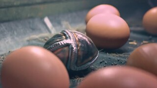 คลิปตลก: แม่ไก่ต้องเอาชีวิตรอด จึงออกไข่พิเศษหนึ่งฟอง นับจากนั้นก็ขึ้นสู่จุดสูงสุดในชีวิตไก่