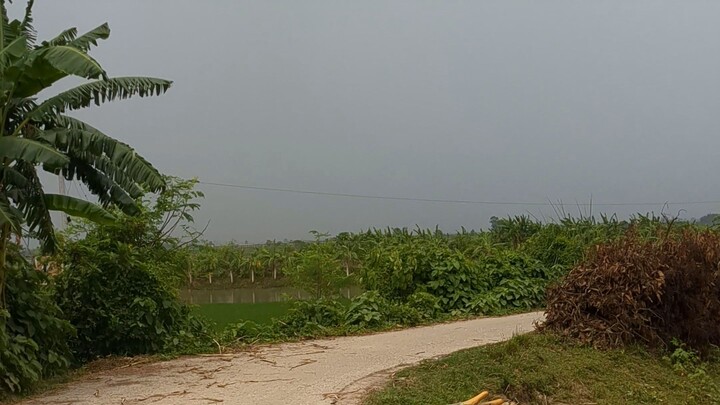 nature of village