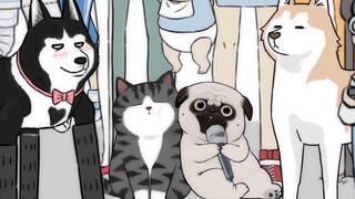 The interview after the conclusion of "What's Up With Meow": Are there any "creation insider stories