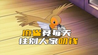 离谱！麻雀竟每天往别人家里叼钱，累计叼了上万元！