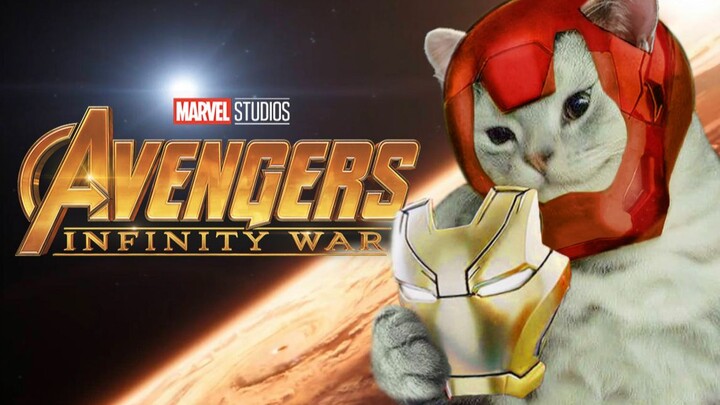 Open up the animal world in a Marvel way!