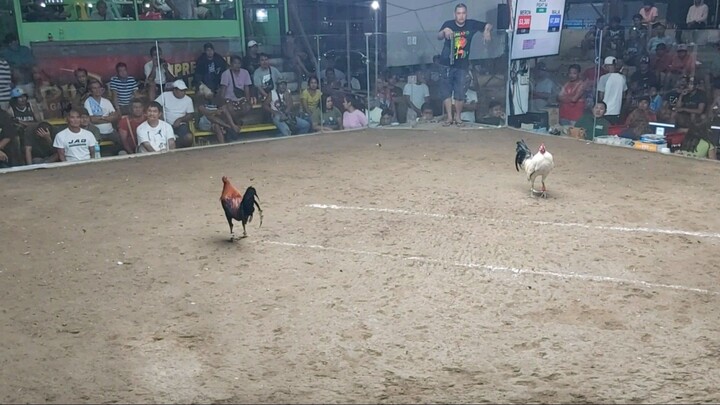 MCCA 3Hits Ulutan 11/22 3rd Fyt Loss😬