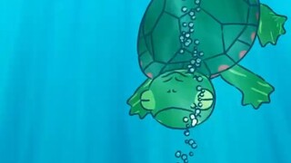 Breathing underwater 🐢🍑🫧 - [Daily Life of Small Animals | Natural Habitat Shorts] Chinese and Englis