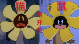 猫和老鼠中的神同步。