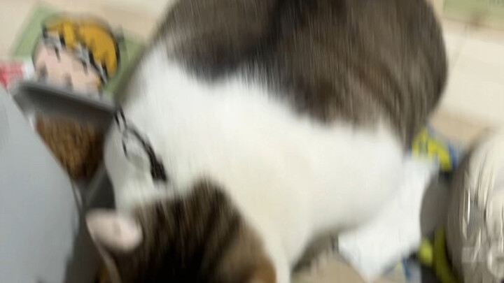 只是他努力的方向不对