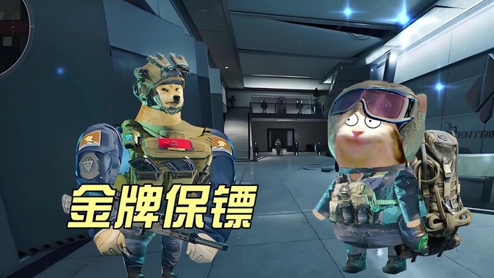 当金牌保镖遇到女老板的套路
