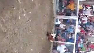 LiL Kurt GY - Sta Cruz GOLD nahirapan sa Laki