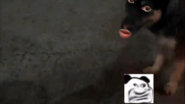 You don't even like it when I offer you a bite.