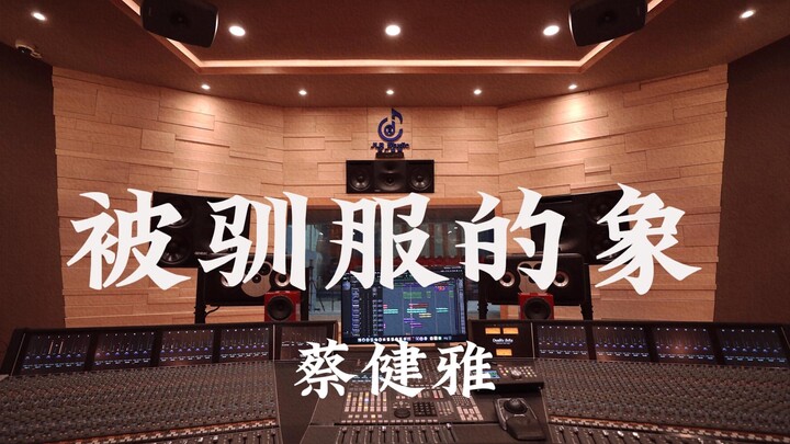 ไชเจี้ยนยา “ช้างที่ถูกฝึกให้เชื่อง” ฟังเสียงดังในสตูดิโอบันทึกเสียงหรูหราหลักล้าน!