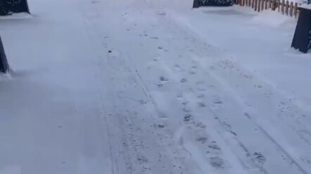 لقد خرجت من المستودع وأشعر بحالة جيدة.