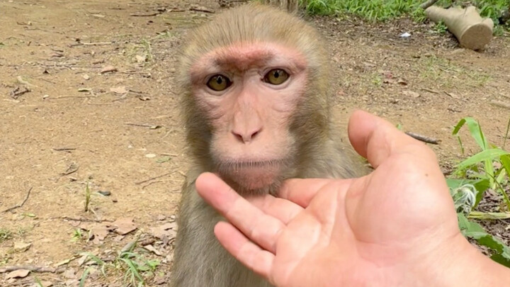 Cô bé đáng yêu đã ngồi với tư thế thật duyên dáng.