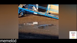 Tội nghiệp bạn tôi #funny