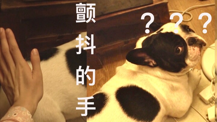 Will the dog get mad if you sneakily spank his butt when he’s not looking?? / He actually switched i