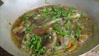 Giăng lưới trời mưa toàn cá rô mề. Cá rô mề kho me non - Bin Đen Miền Tây # 220