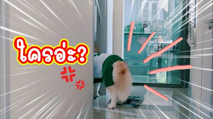 เข้าห้องน้ำ จะตามมาทำไม?