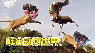 【大仙全家桶】欢迎收看船新节目之动物大乱斗！