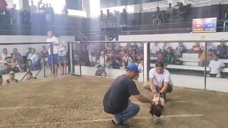 boy abang lng ang manok nmin