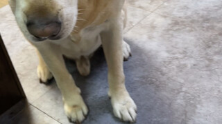 Hahaha, lần đầu tiên làm mà vừa sạch sẽ lại vừa vệ sinh.