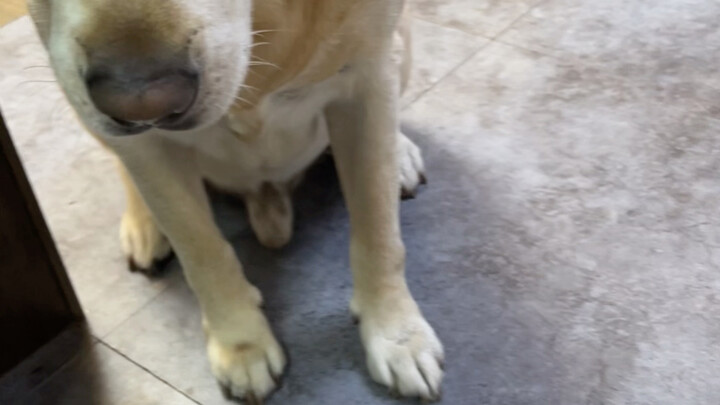 Hahaha, pertama kali melakukannya dengan bersih dan higienis