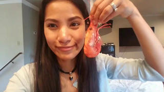 กินกุ้งตัวใหญ่ๆ หวาน สด มากๆๆ/ เนื้อกรอบ, ชีวิตในอเมริกา🦐🦐 Eating big shrimps.