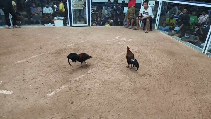 last na laban mo napala parekoy salamat sa mga pinanalomong laban😭❤