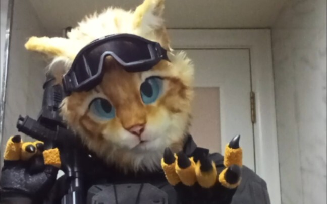 I heard you want this cat to take off his helmet?