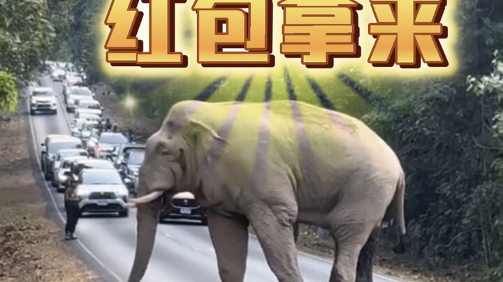 Elephant: It’s Chinese New Year—no red envelope? You think you can get by like that?