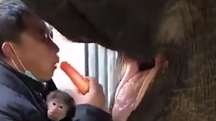 How did you end up eating it yourself?