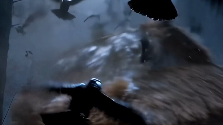 Sự phản bội trong tình yêu