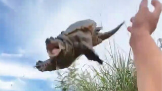 Tertawa dengan sangat bahagia