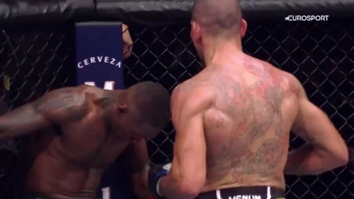 adesanya's defeat