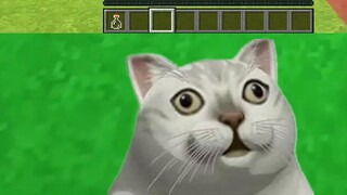 Minecraft: Tôi đã rất sợ hãi!