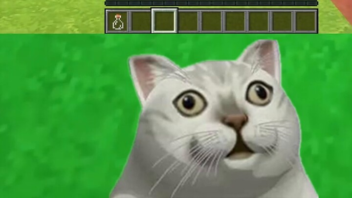 Minecraft: Aku sangat takut!