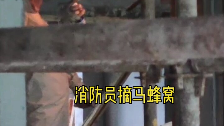 你摘马蜂窝vs消防员摘马蜂窝 家里有马蜂窝请及时拨打119 不要盲目处置！