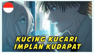 【INA】NYARI KUCING DEMI BOOBA