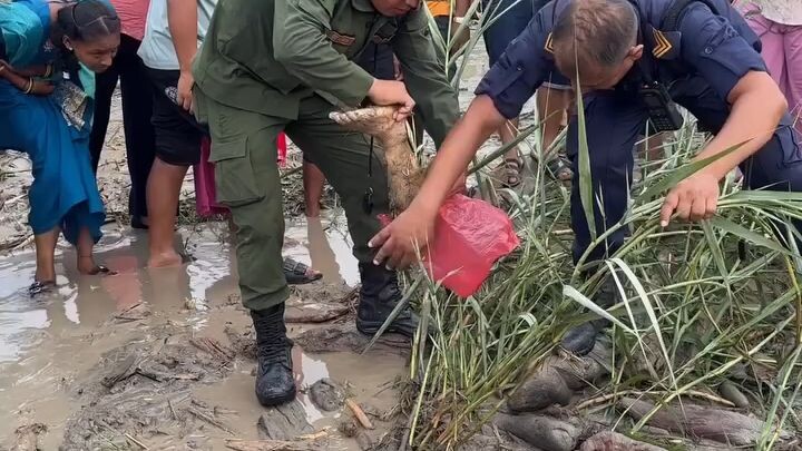 Nepal dead body