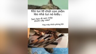 Một chiếc mèo yangho😰 meme mememeomemehaihuoc memehai superidol