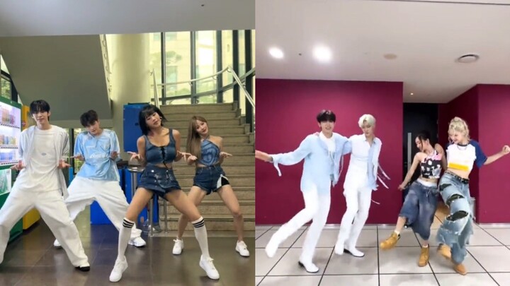 【TWS&ZB1】Có cảm giác đây là nhóm nữ có vũ đạo hợp nhất với nhóm nam thế hệ thứ sáu