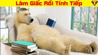 Đột Nhập Vào Nhà Của Human, Chú Gấu Khổng Lồ Làm Giấc Ngon Lành | Chuyện Lạ Đó Đây | #9