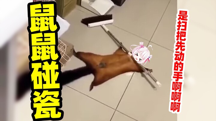 鼠鼠闯祸了也是会碰瓷甩锅的！！！！