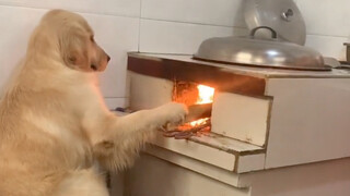 “Không kết hôn thì già rồi ai chăm sóc bạn? Mời xem VCR”