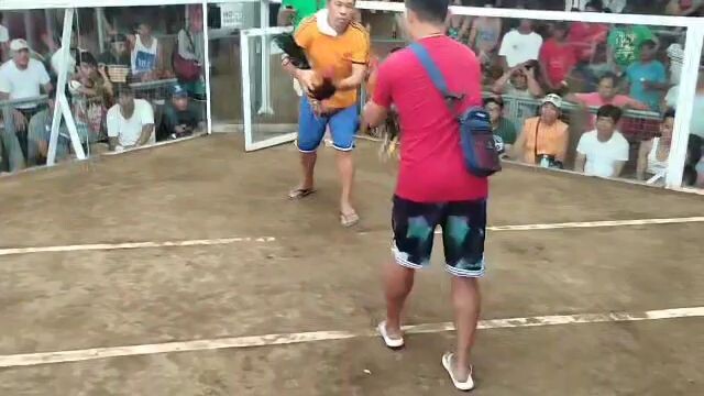 pure sweater tupada muna tayo mga brother😎 55 parada