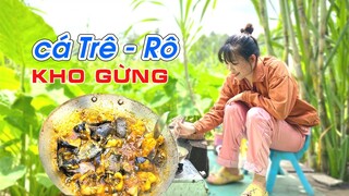 Món ngon mỗi ngày Cá Trê, Cá Rô kho gừng thơm ngon đơn giản | Vuivlogs #60