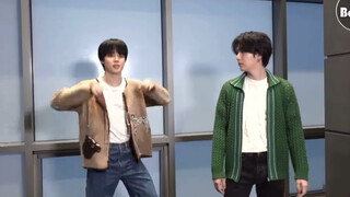 Haegeum Dance Challenge Highlights 💜🐥: Bro, your dance is so hard 🐱: Yeah, brat 😂