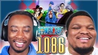 The Formation Of Cross Guild! OP - Episode 1086 | Reaction
